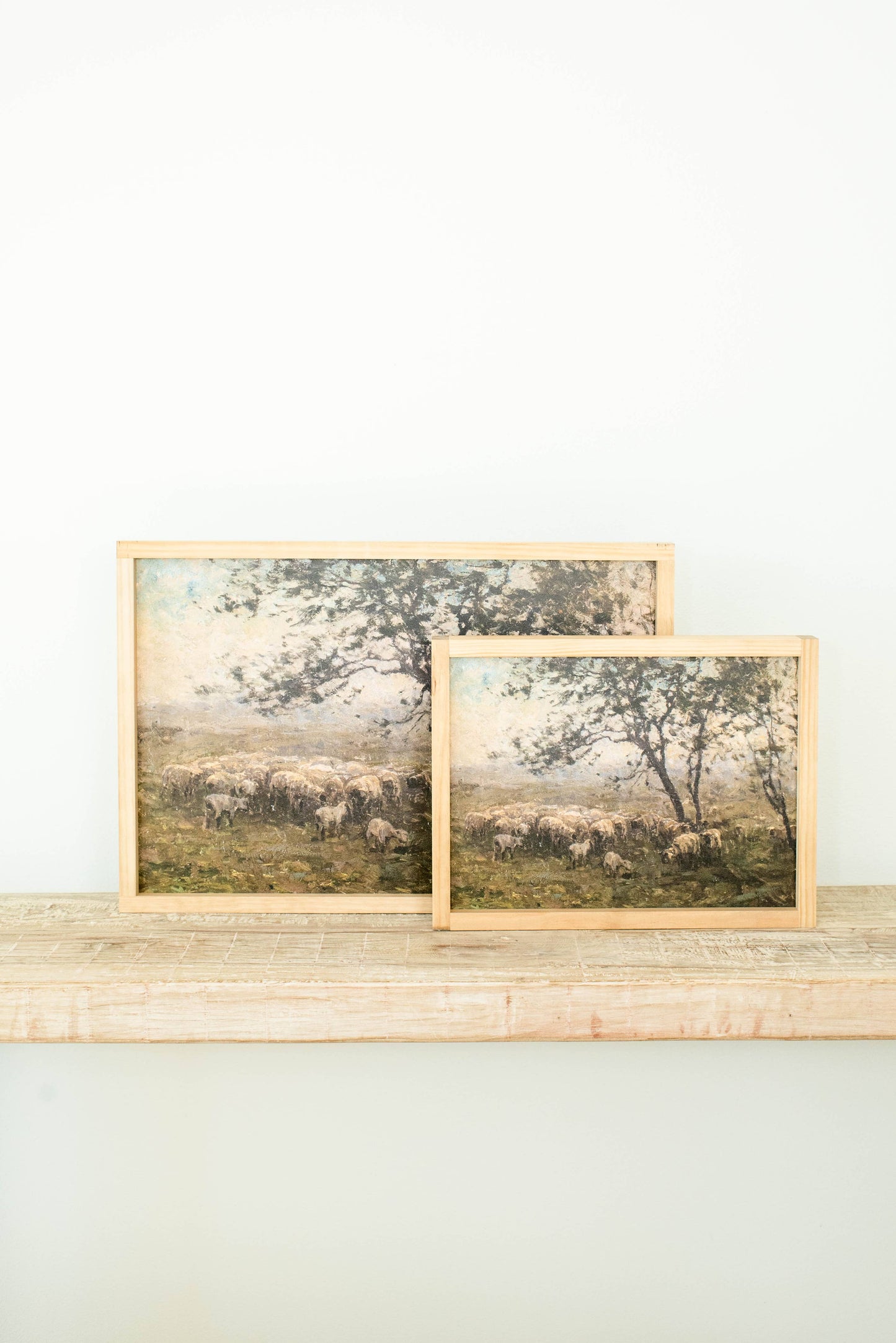 Moody Sheep |  Dark Walnut / 17x25"