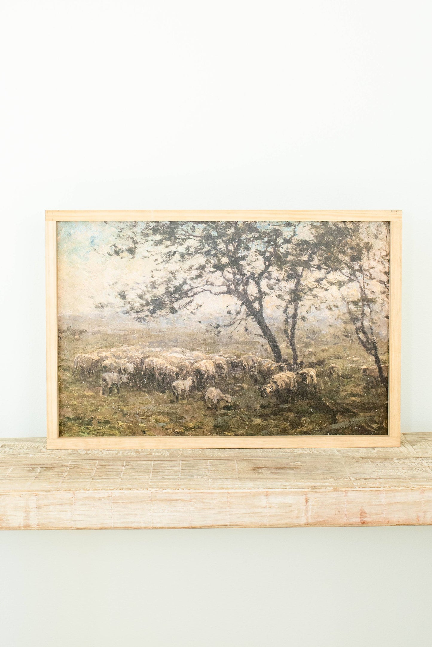 Moody Sheep |  Dark Walnut / 17x25"