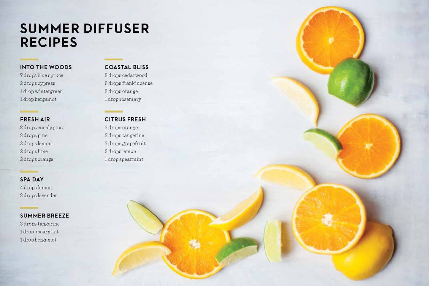 It All Began in a Garden: Hardcover