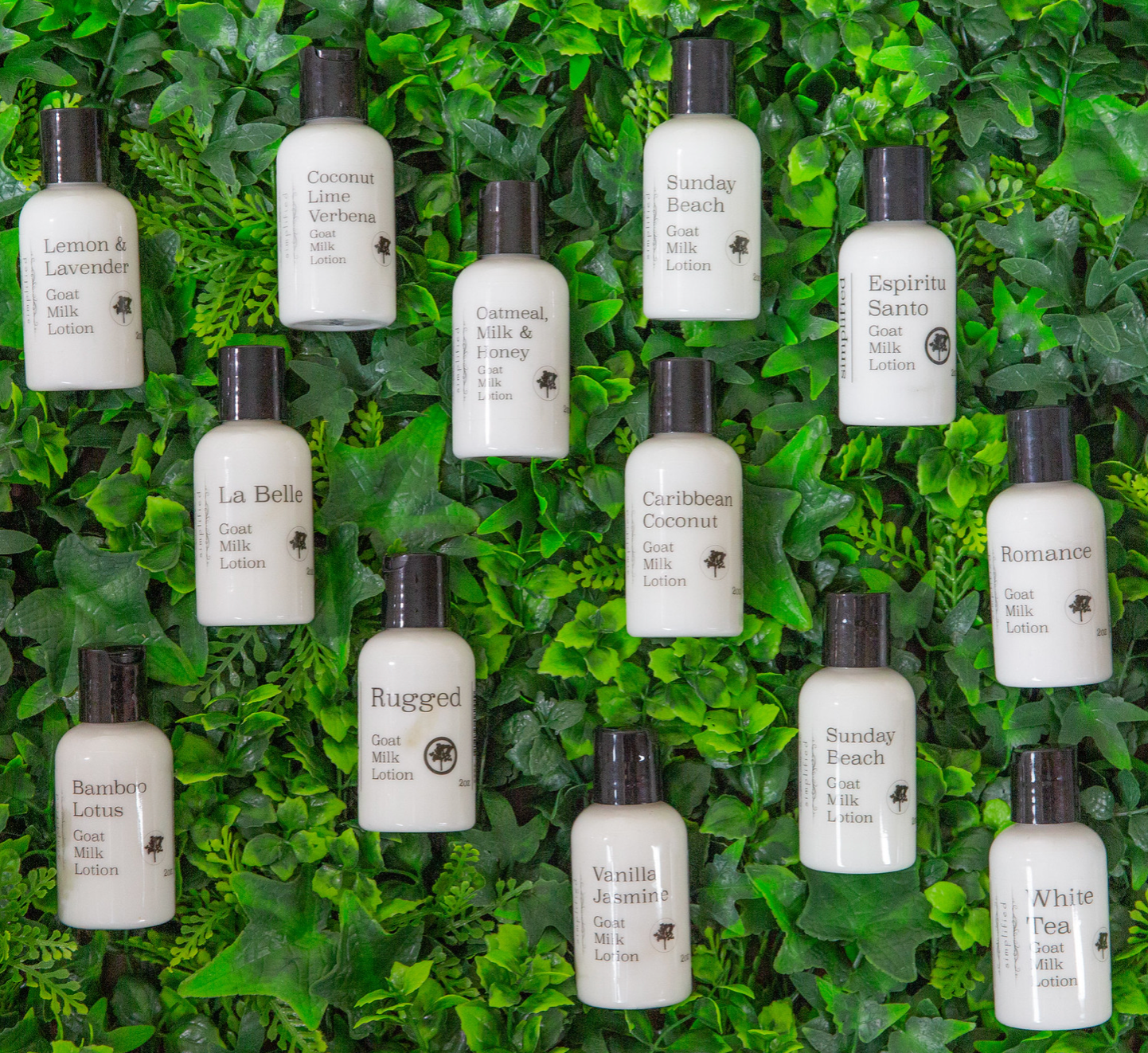 2oz Goat Milk Lotion: Grace