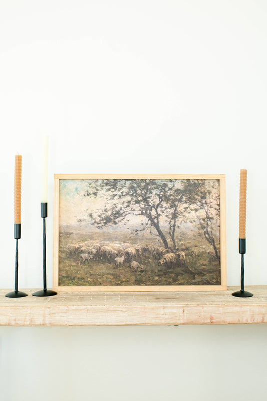 Moody Sheep |  Dark Walnut / 17x25"