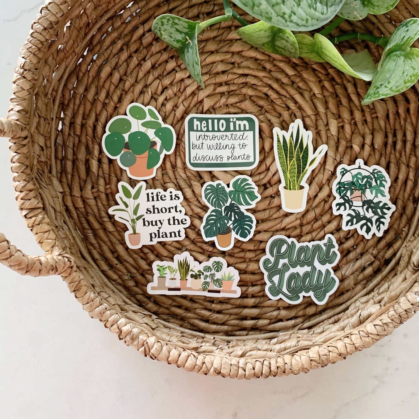 Willing to Discuss Plants Sticker