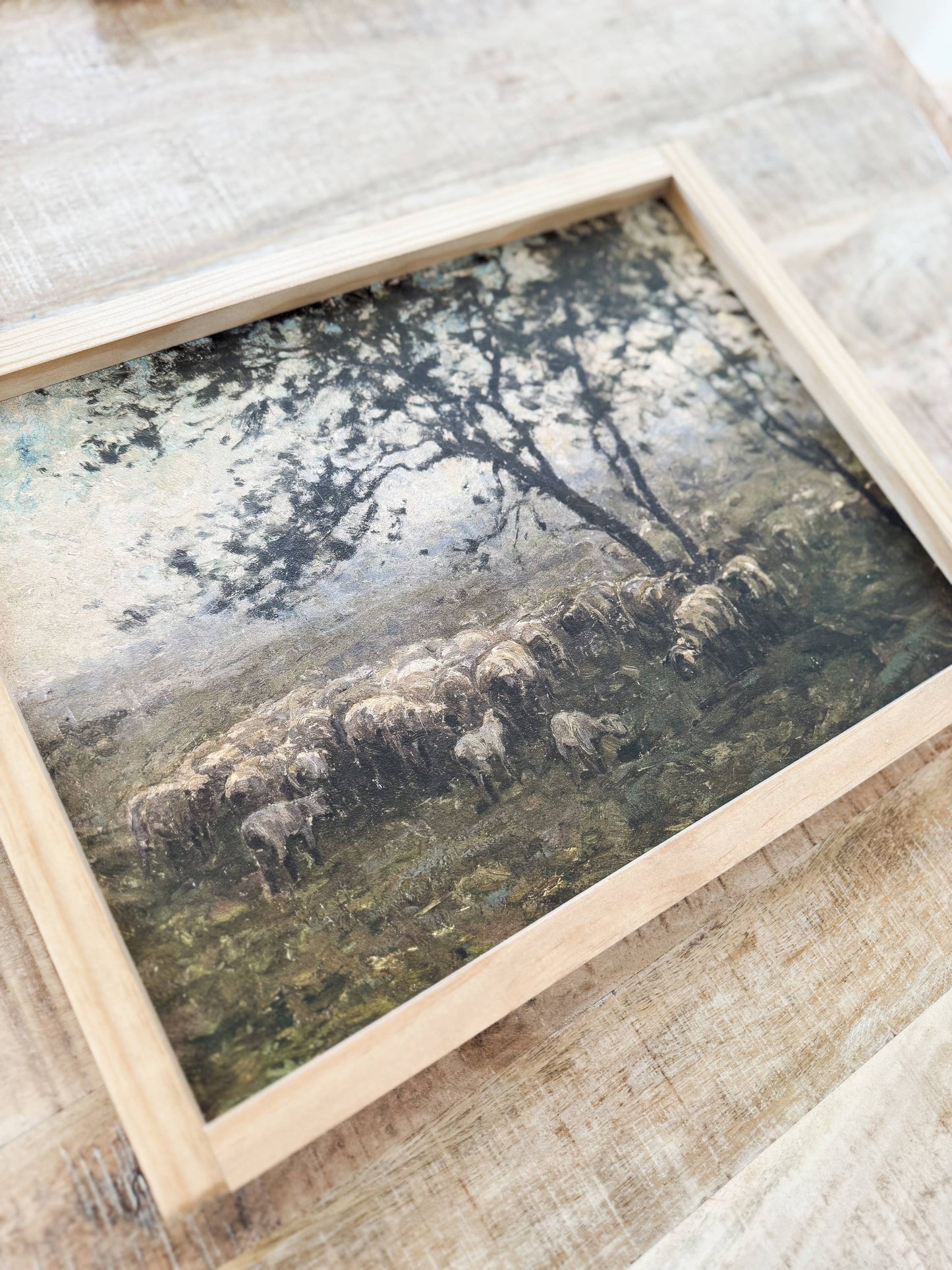 Moody Sheep |  Dark Walnut / 8x12"