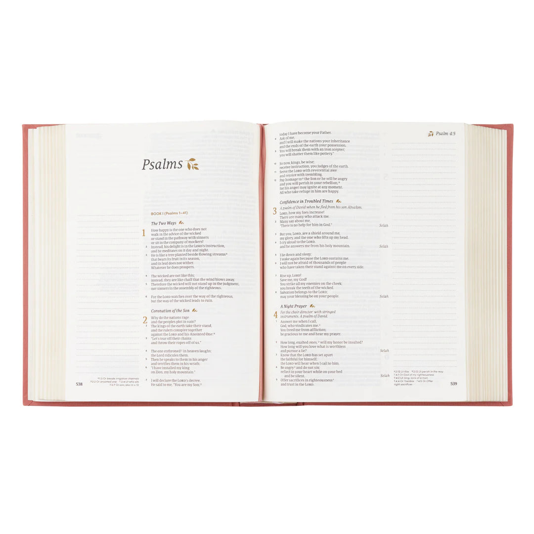 CSB NOTETAKING BIBLE: ROSEDAL THEME