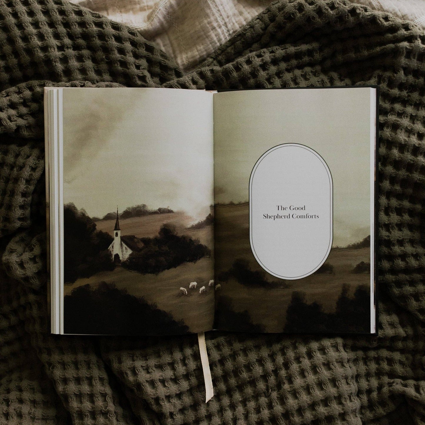 The Good Shepherd: Living in the Care and Comfort of Christ | A Collection of Essays from The Daily Grace Co.