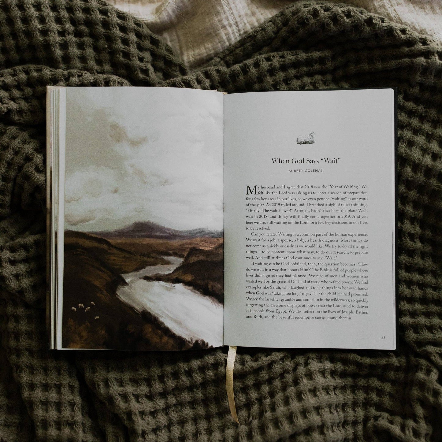 The Good Shepherd: Living in the Care and Comfort of Christ | A Collection of Essays from The Daily Grace Co.