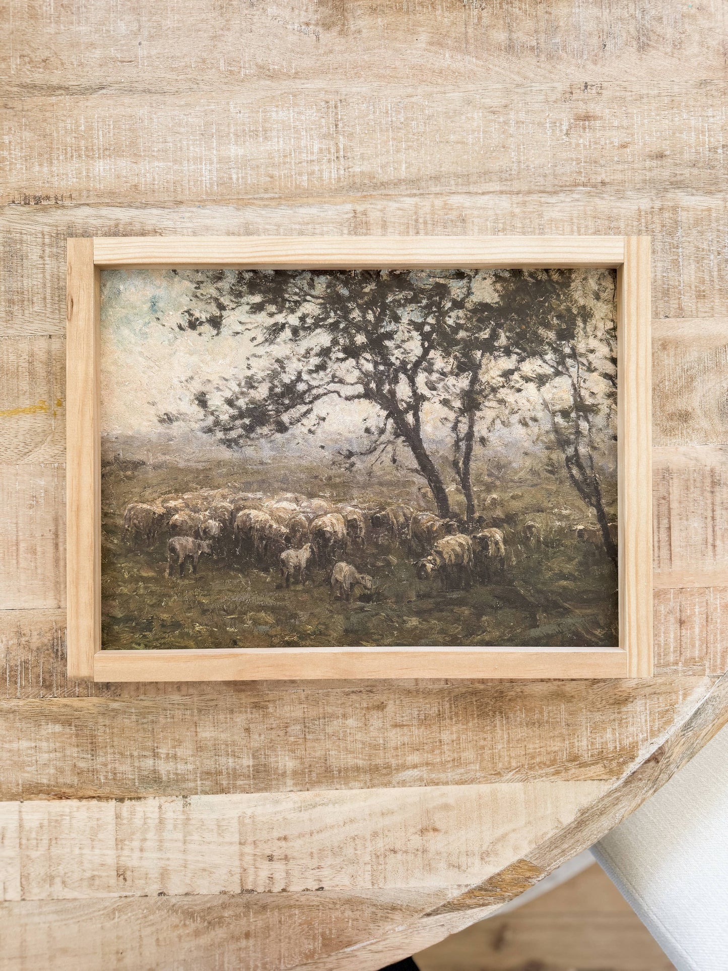 Moody Sheep |  Dark Walnut / 8x12"