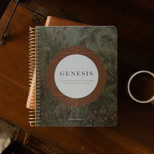 Genesis Spiral Bible Study