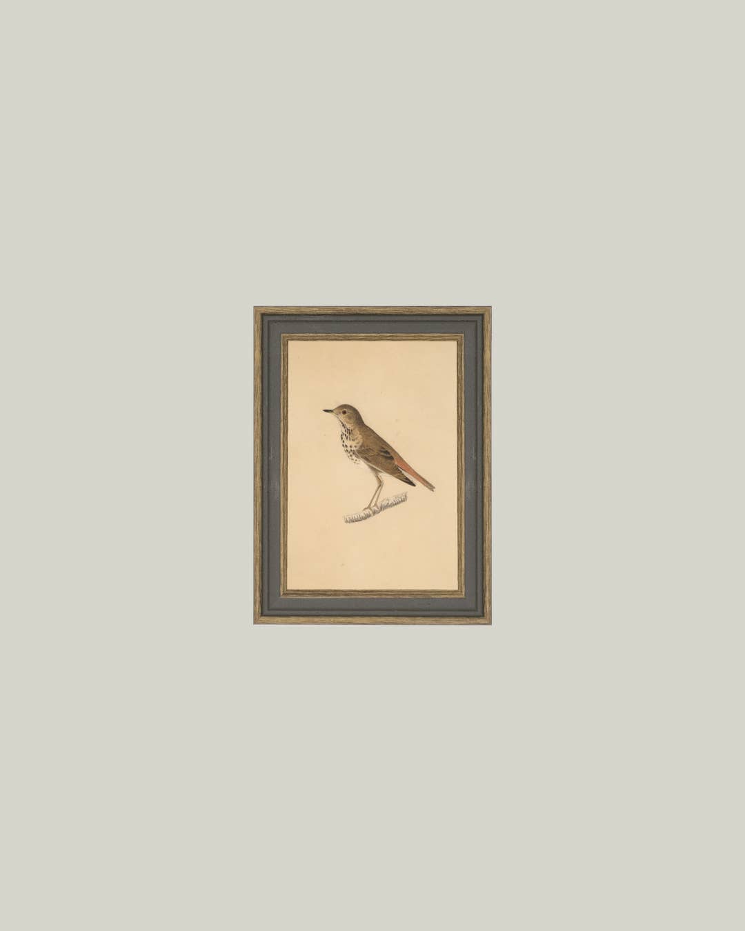 Bird Framed Antique Art: 7x9