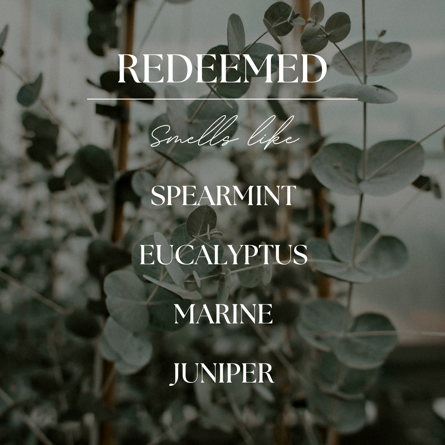 Redeemed | Eucalyptus & Mint | 9 oz. Clear Jar Soy Candle: No Lid