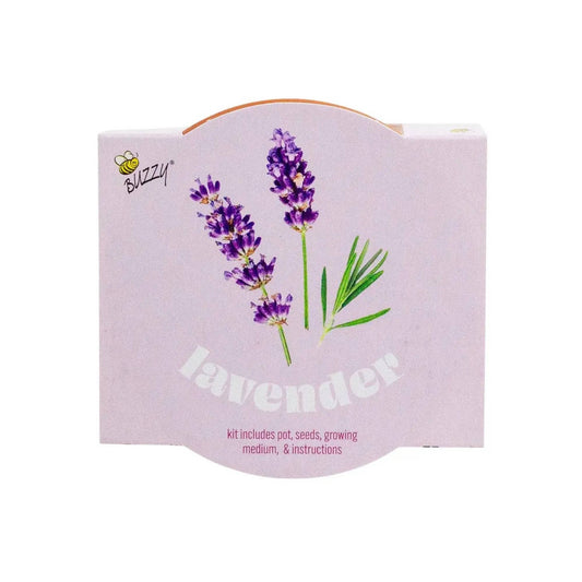 Classic 3.3 in Terracotta Lavender Grow Kit–Indoor Herb Gift