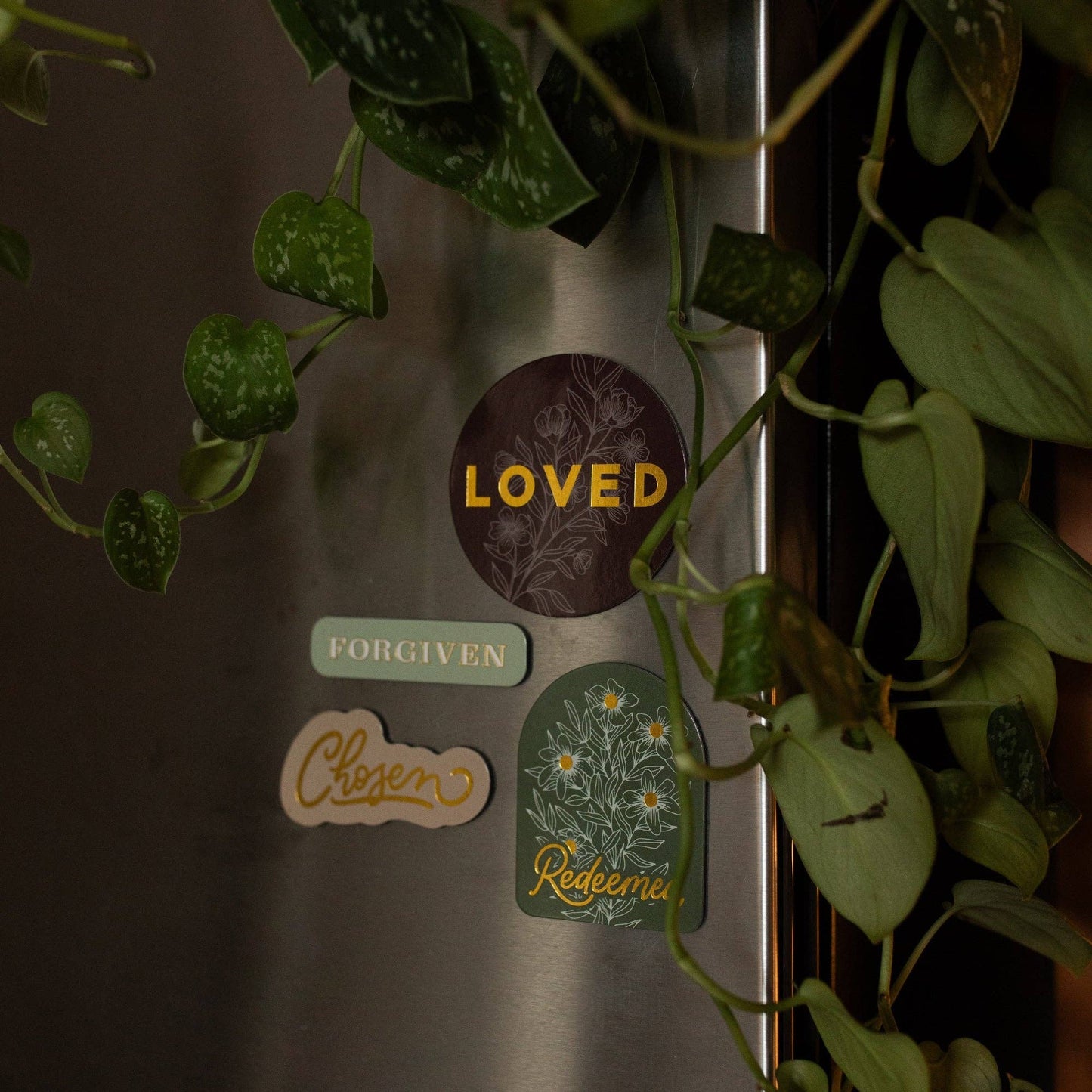Identity Magnet