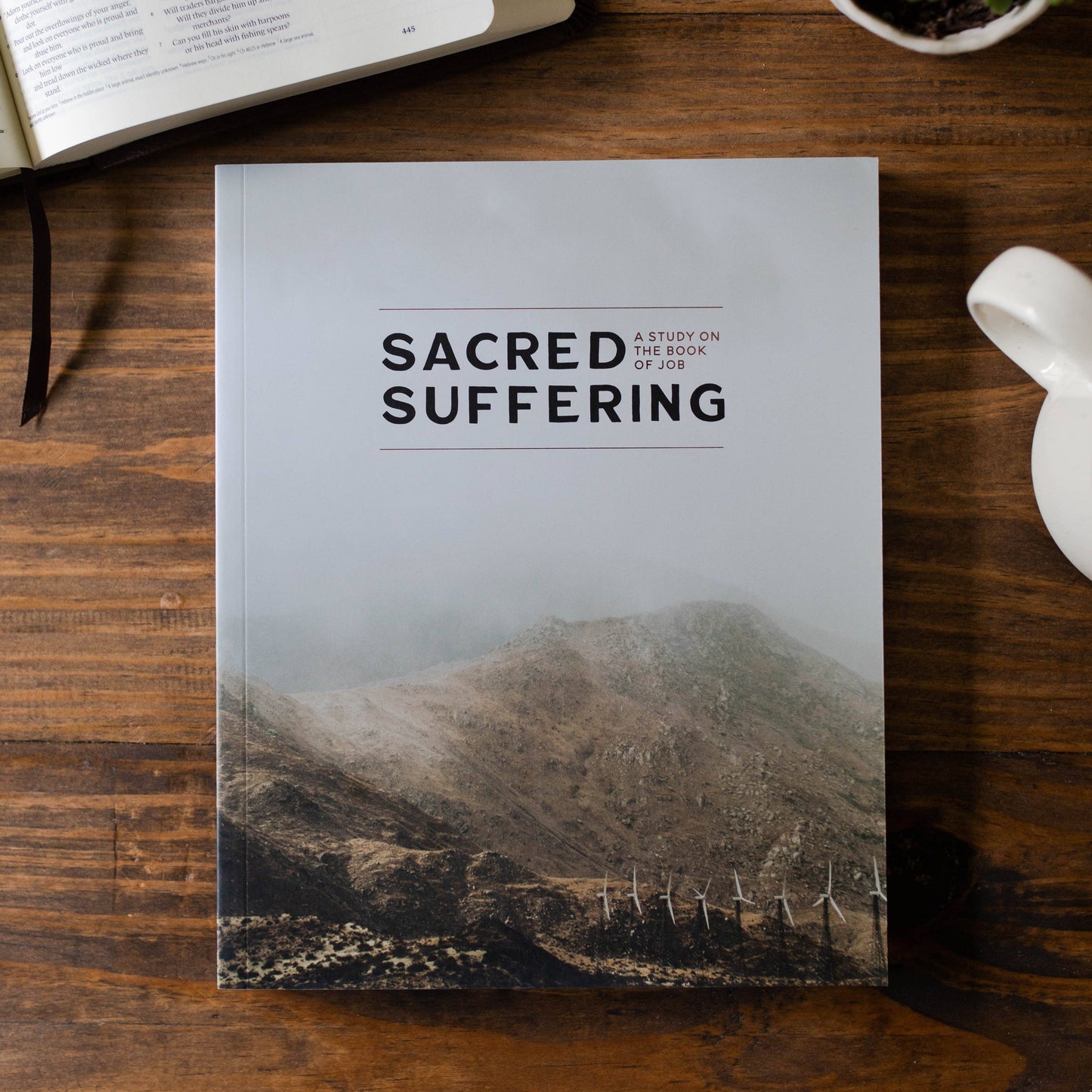 Sacred Suffering | A Study on the Book of Job - Men