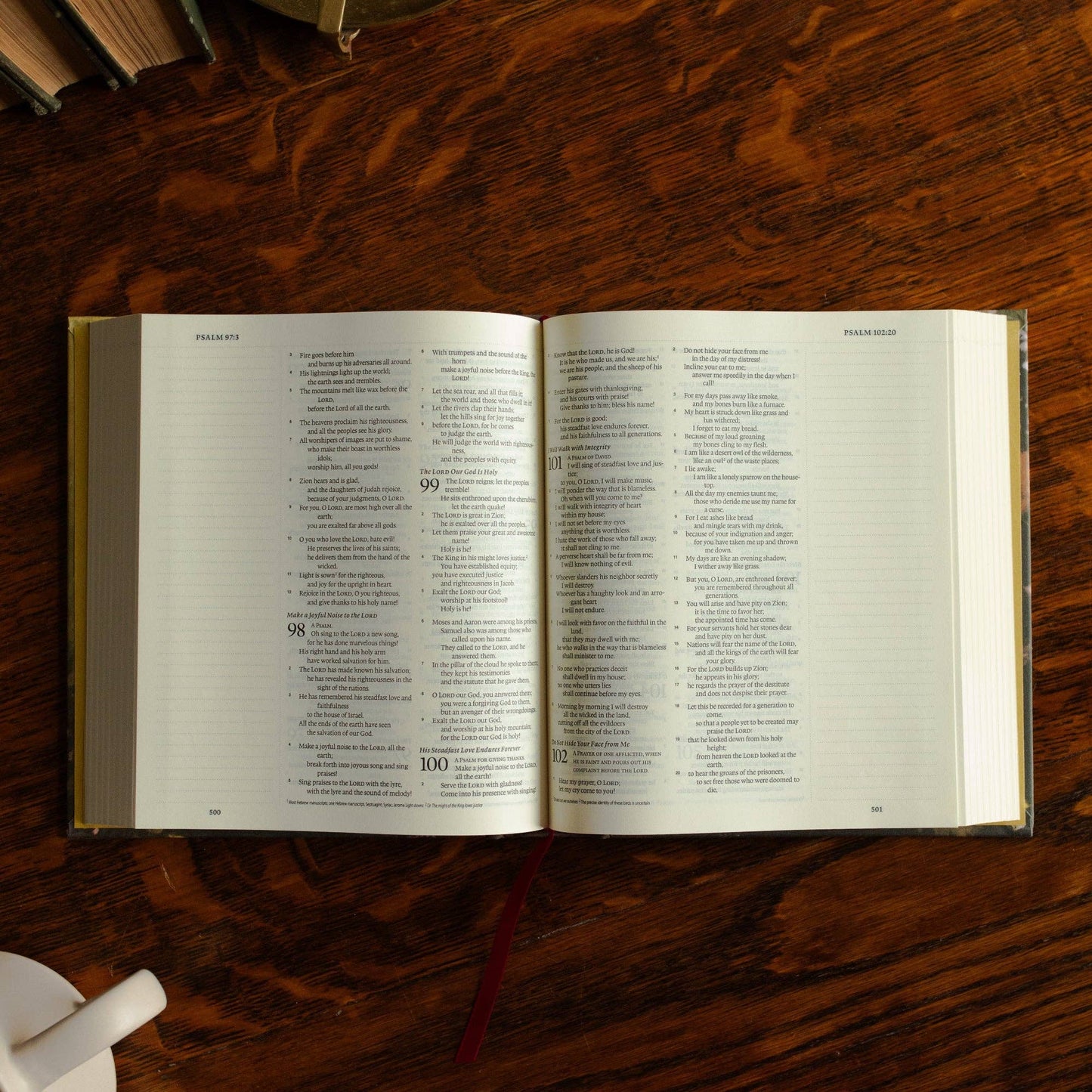 ESV Journaling Bible | Fields