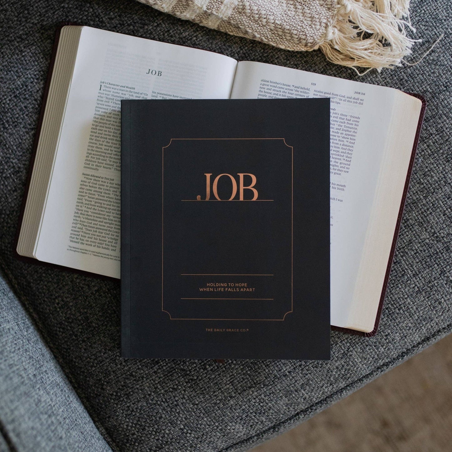 Job | Holding to Hope When Life Falls Apart - Men