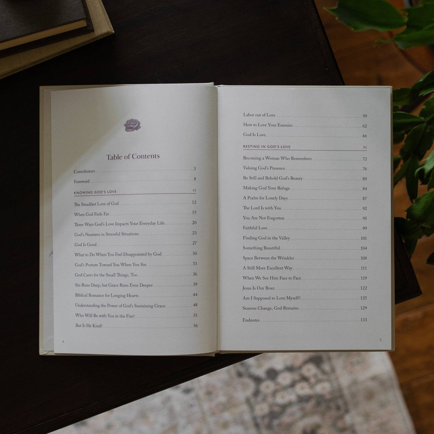 His Love Endures Forever | Remembering and Resting in God’s Love | A Collection of Essays from The Daily Grace Co.
