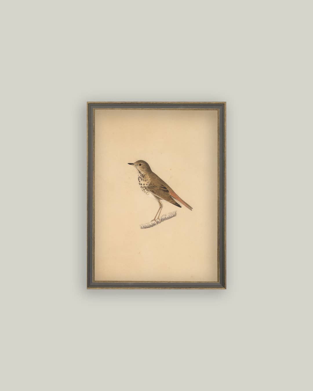 Bird Framed Antique Art: 7x9