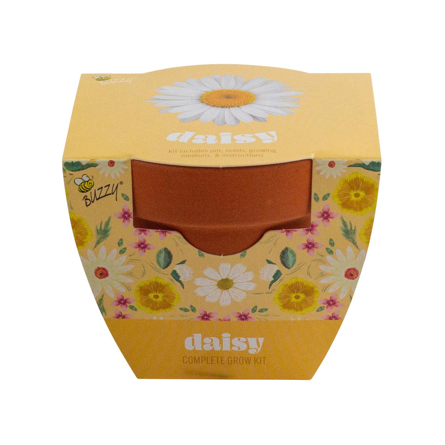 Classic 3.3 in. Terracotta Daisy Grow Kit – Indoor Gift