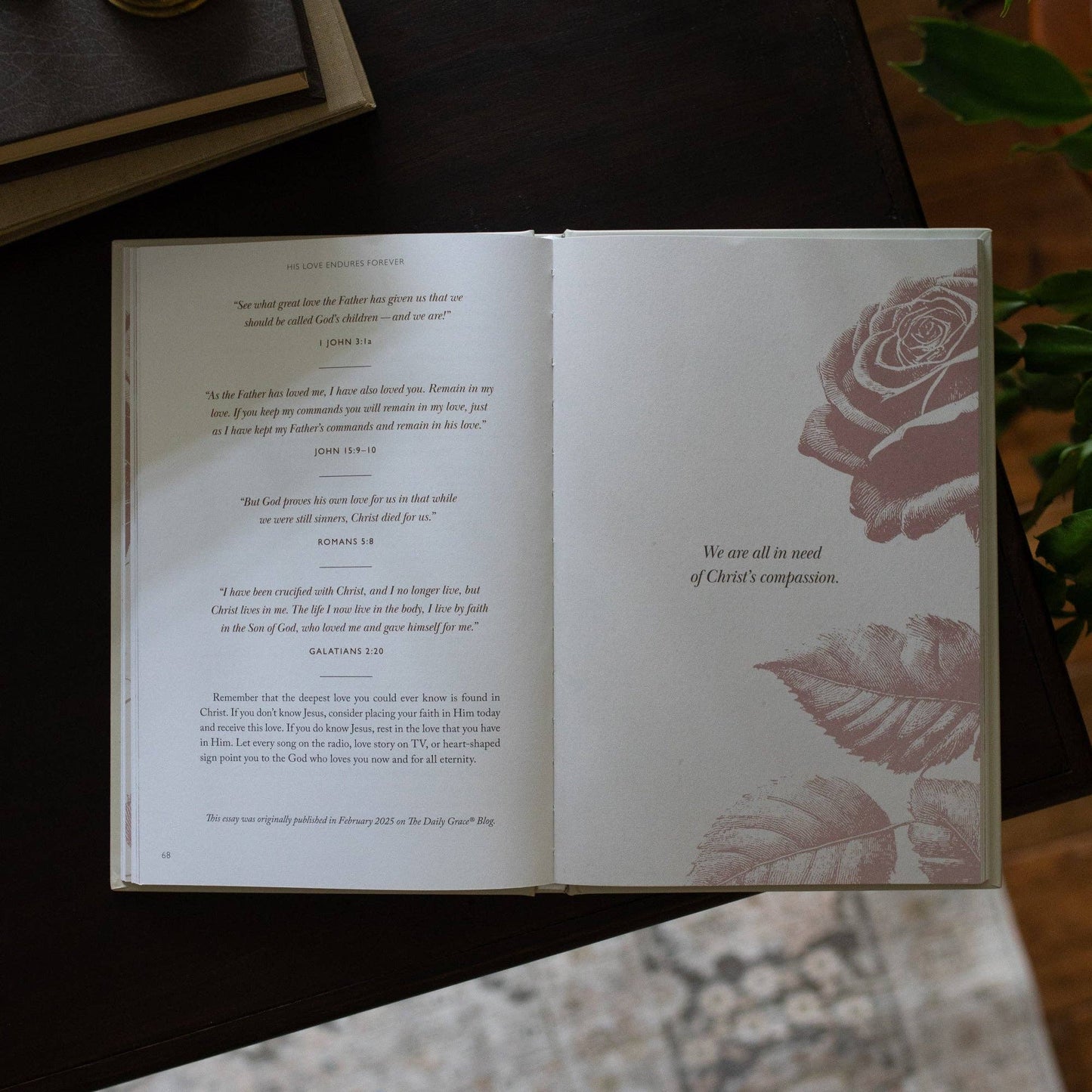 His Love Endures Forever | Remembering and Resting in God’s Love | A Collection of Essays from The Daily Grace Co.