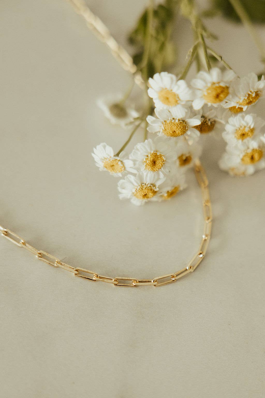 Madeline Gold Filled Paperclip Necklace: 18"