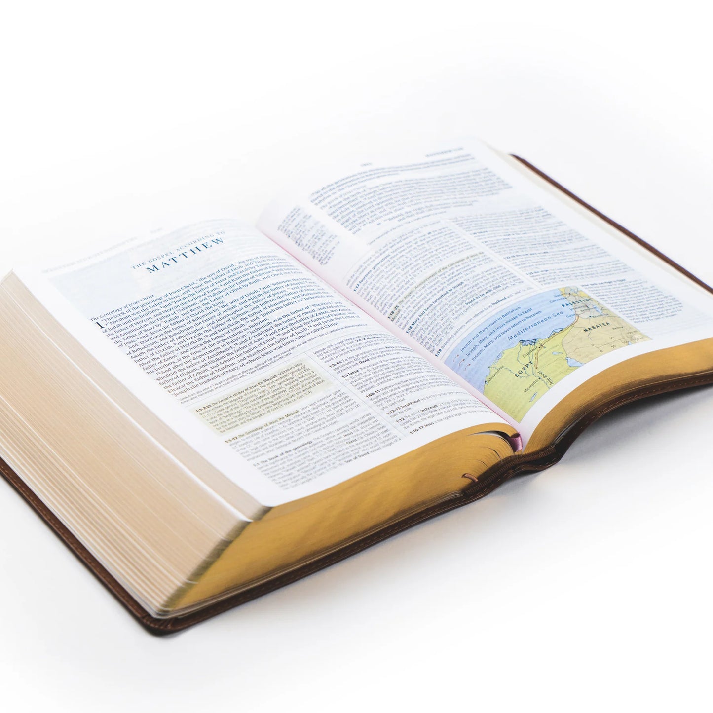 ESV Study Bible - Aurora Theme