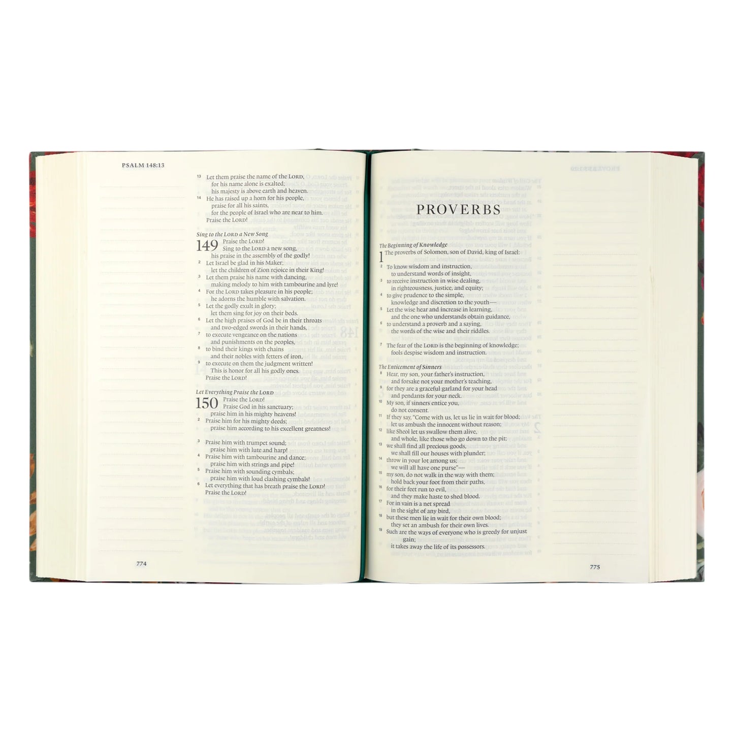 ESV Large Print Journaling Bible : Hollis Theme