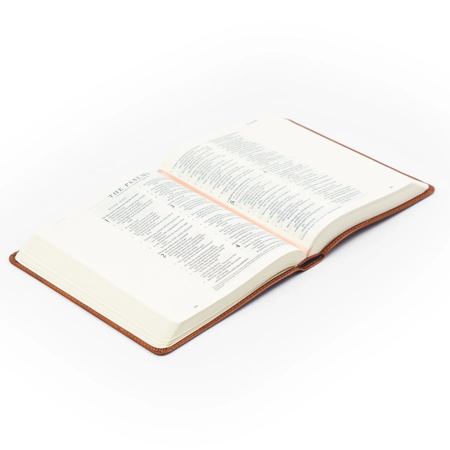 ESV JOURNALING BIBLE: SIERRA THEME