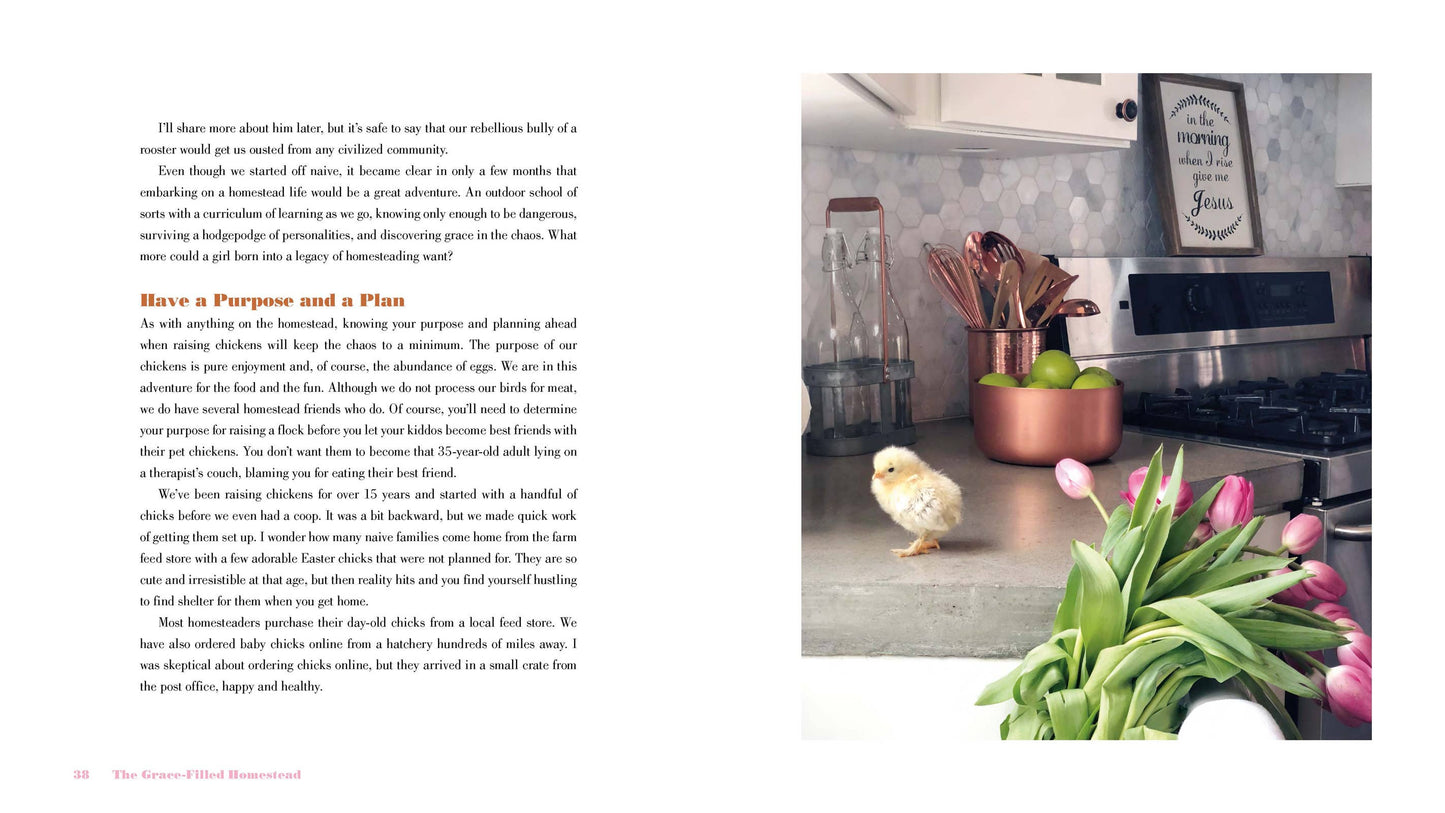 The Grace-Filled Homestead: Hardcover