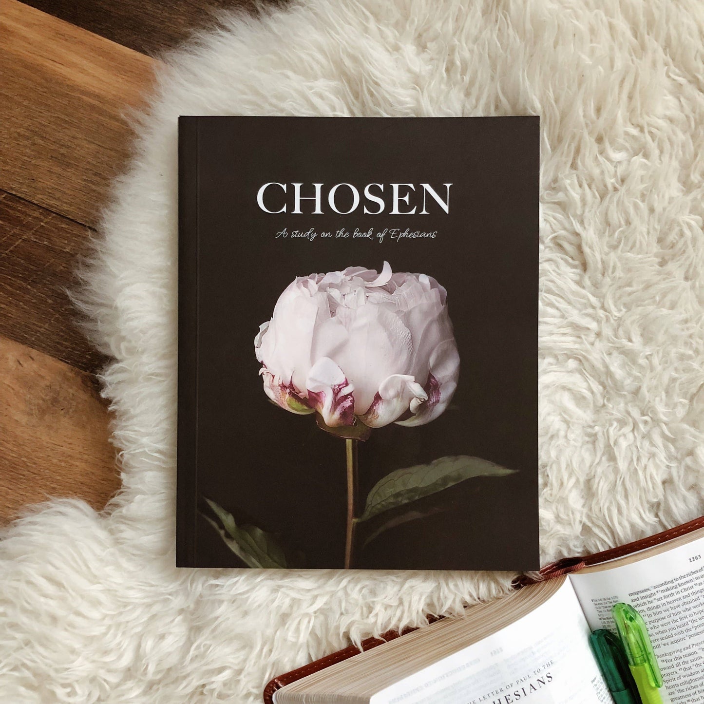 Chosen Study of Ephesians