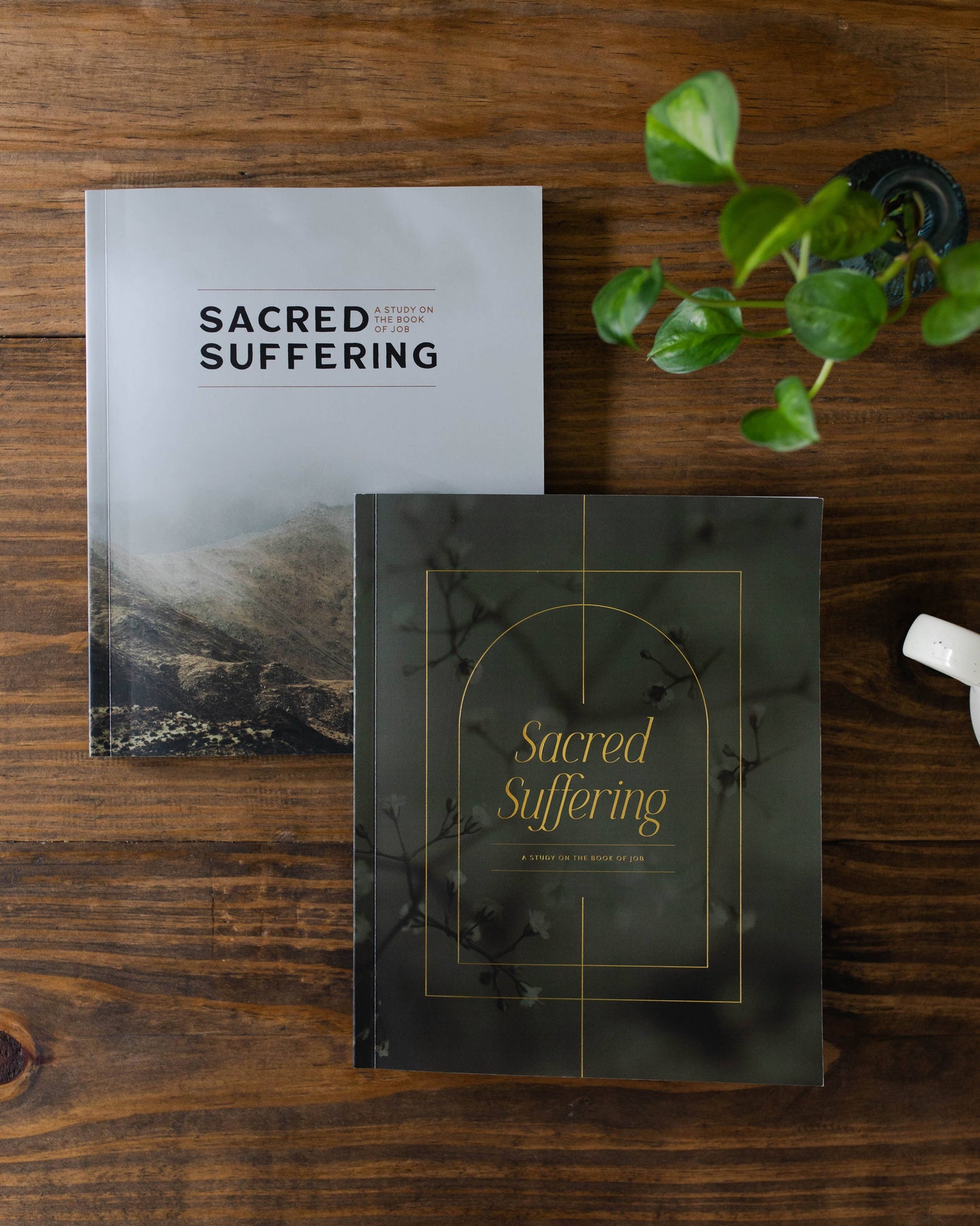 Sacred Suffering | A Study on the Book of Job - Men